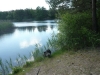 Hundeschule Wietze Bild19