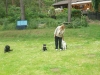 Hundeschule Wietze Bild42