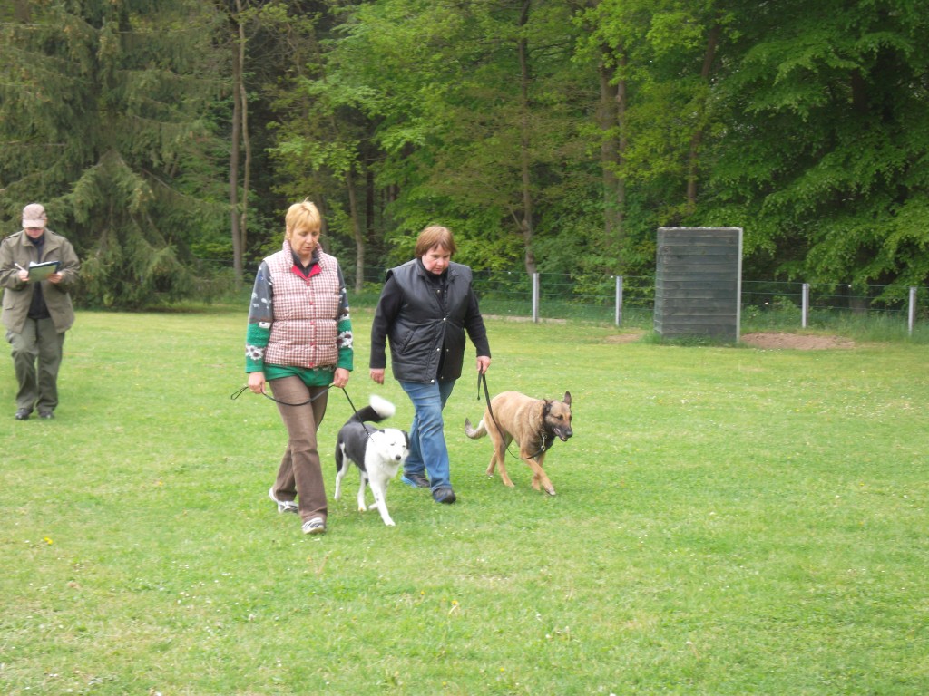 Begleithundeprüfung Wietze, Winsen, Celle